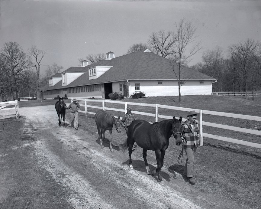 The Rice Family-Danada-House-Hisotry Danada History -